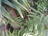 WhatsApp Bild 2025-09-08 um 10.16.03_9b627267.webp