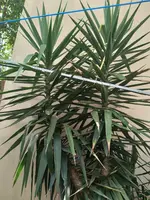 WhatsApp Bild 2025-09-08 um 10.16.03_526ca880.webp