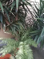 WhatsApp Bild 2025-09-08 um 10.16.04_76396165.webp