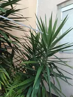 WhatsApp Bild 2025-09-08 um 10.16.04_dea8efba.webp