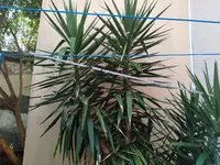 WhatsApp Bild 2025-09-08 um 10.16.05_e19995fe.webp