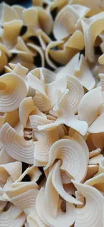 20251210_114253.webp 20251210_114253.webp