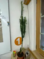 IMG_3902.webp IMG_3902.webp