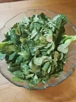 IMG_20251212_190300.webp IMG_20251212_190300.webp