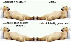 Bild.webp