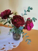IMG_20251030_110153.webp