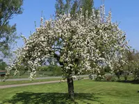 IMG_6569.webp