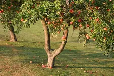 IMG_6570.webp