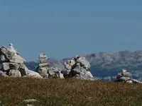 FB_IMG_1766229516006.webp FB_IMG_1766229516006.webp