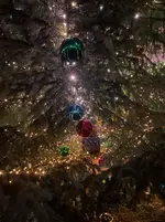 IMG_3986.webp IMG_3986.webp