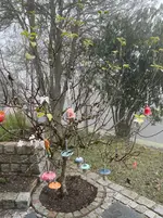 IMG_5849.webp IMG_5849.webp