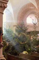 IMG_20251208_152702~2.webp IMG_20251208_152702~2.webp