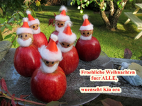 Weihnachtsgruss 2025 (1).webp