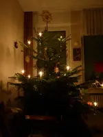 P1060417Weihnachtsbaum.webp