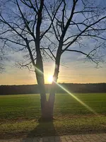 20251227_153518.webp