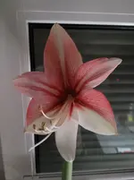 20251231_220343.webp