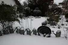 Winter     0125.webp