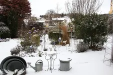 Winter     0225.webp