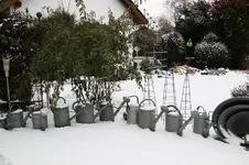 Winter     0325.webp