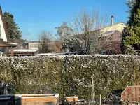 IMG_4112.webp