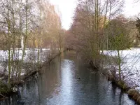 016.webp