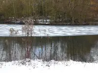 044.webp