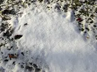 033.webp