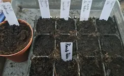 20260104_155520.webp 20260104_155520.webp