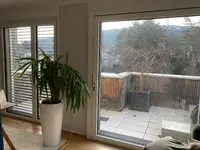 Palme04.webp