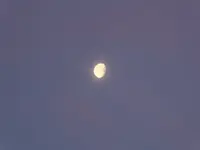 003.webp