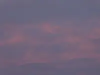 005.webp
