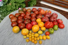 August     1121.webp