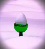 DSCN6626.webp