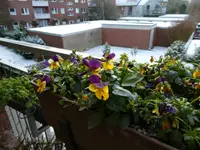 P1000100.webp