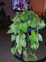 20260111_202633.webp