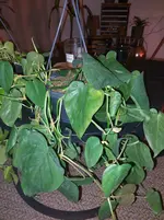 20260111_202626.webp