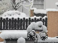 IMG_20211209_085355.webp