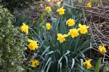 April      0825.webp