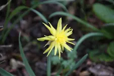 April      1025.webp