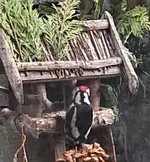 20260114_085738.webp