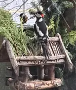 20260114_085742.webp