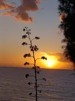 IMG_20260113_182607.webp
