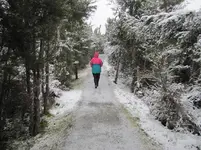 IMG_5435 v - Copy.webp