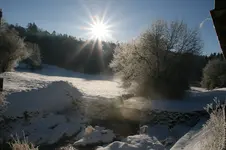 Winter2317.webp