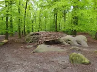 IMG_20240505_093427.webp