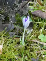 P1000161.webp