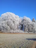 IMG_20260119_102859_1.webp