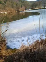 IMG_20260119_134324.webp