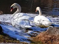 IMG_20260119_140236.webp