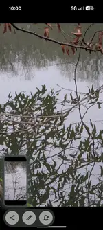 Screenshot_20260120-100059.webp